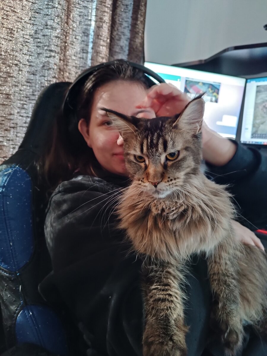 Это я грущу в лапах моей Двуногой