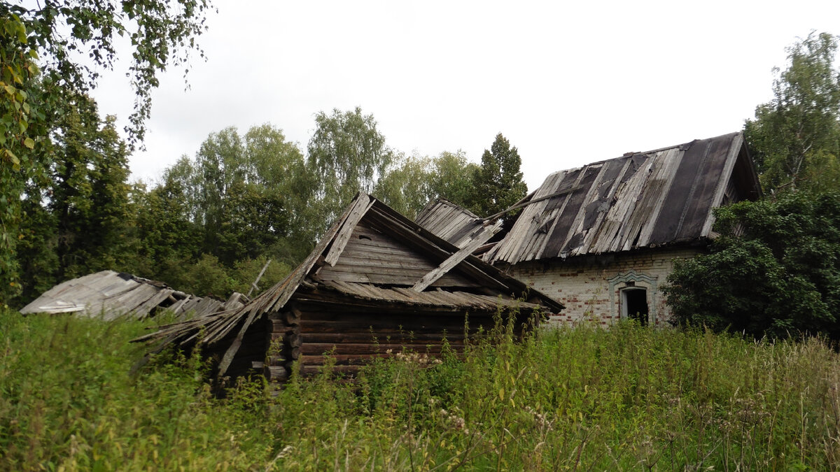 От поля до стола