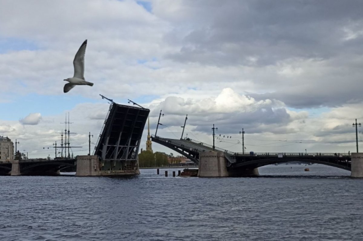    В Петербурге общая смертность снизилась по сравнению с периодом до пандемии