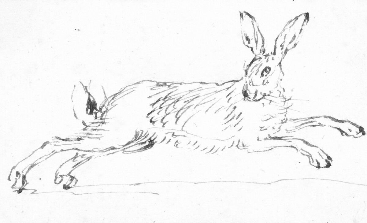 Эту картинку с зайчиком я распечатала на принтере.