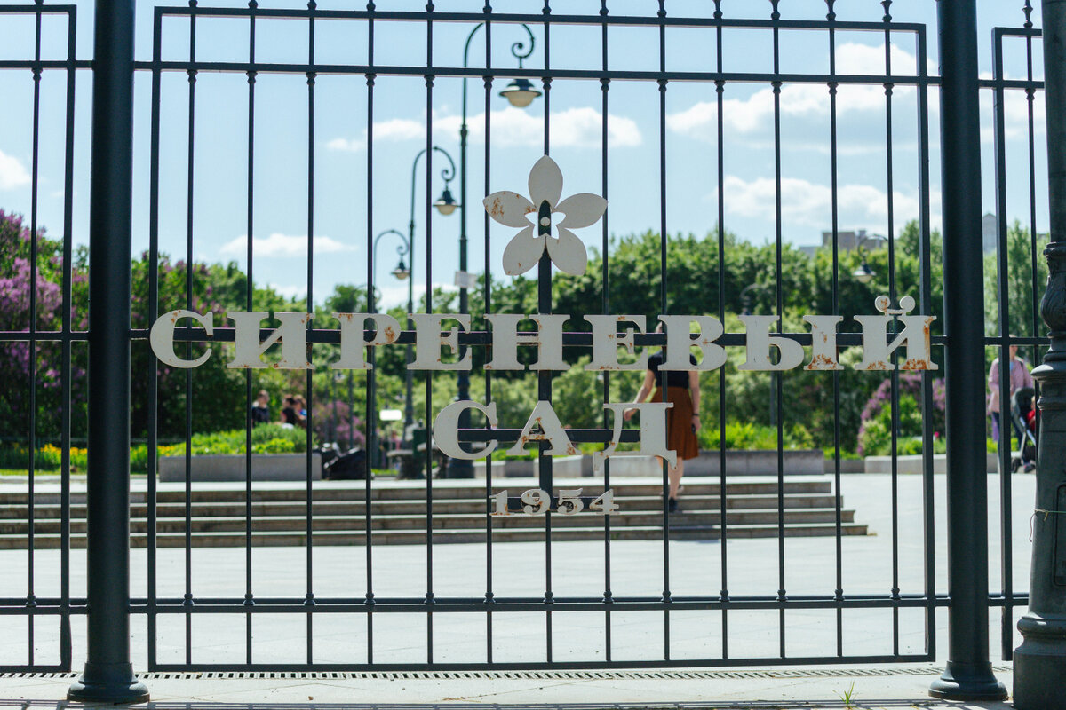 Ограда Сиреневого сада. Май 2023 года. Фото: Про Мой Район