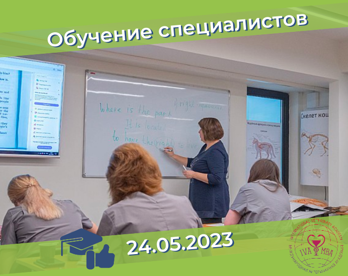 Обучение