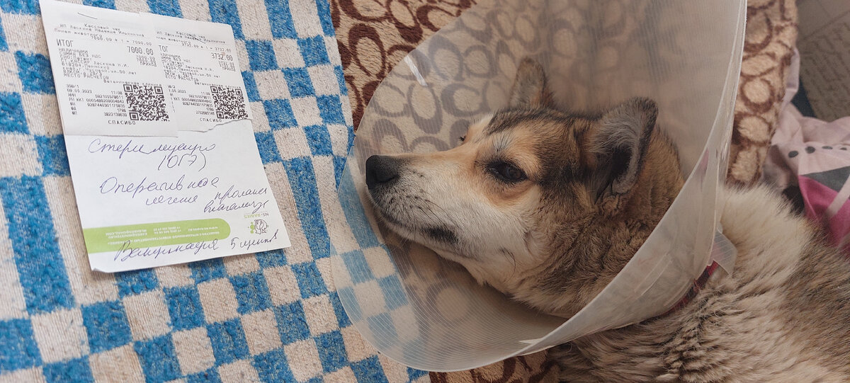 Отличный ревизор!