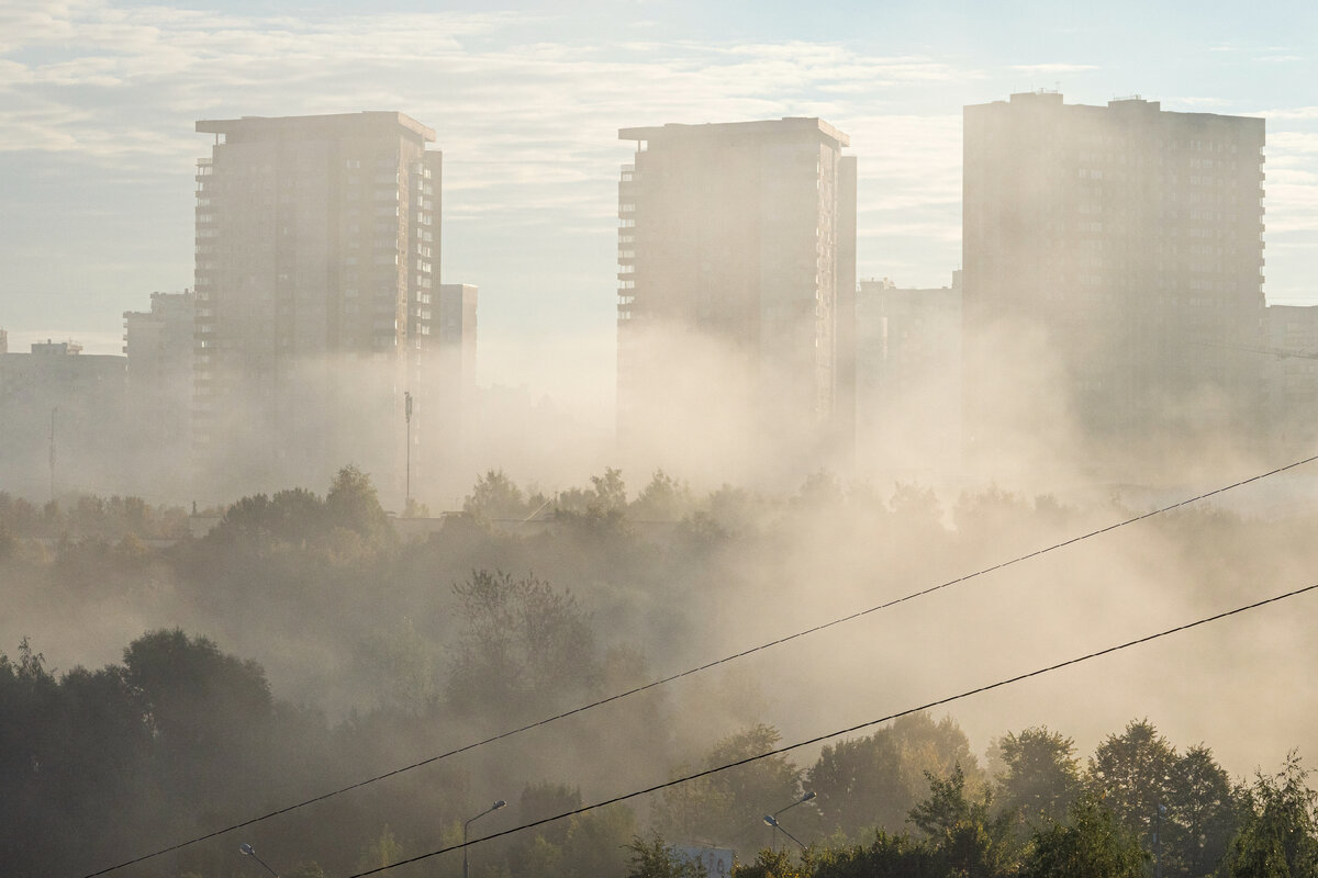 Фото: Константин Кокошкин / Globallookpress