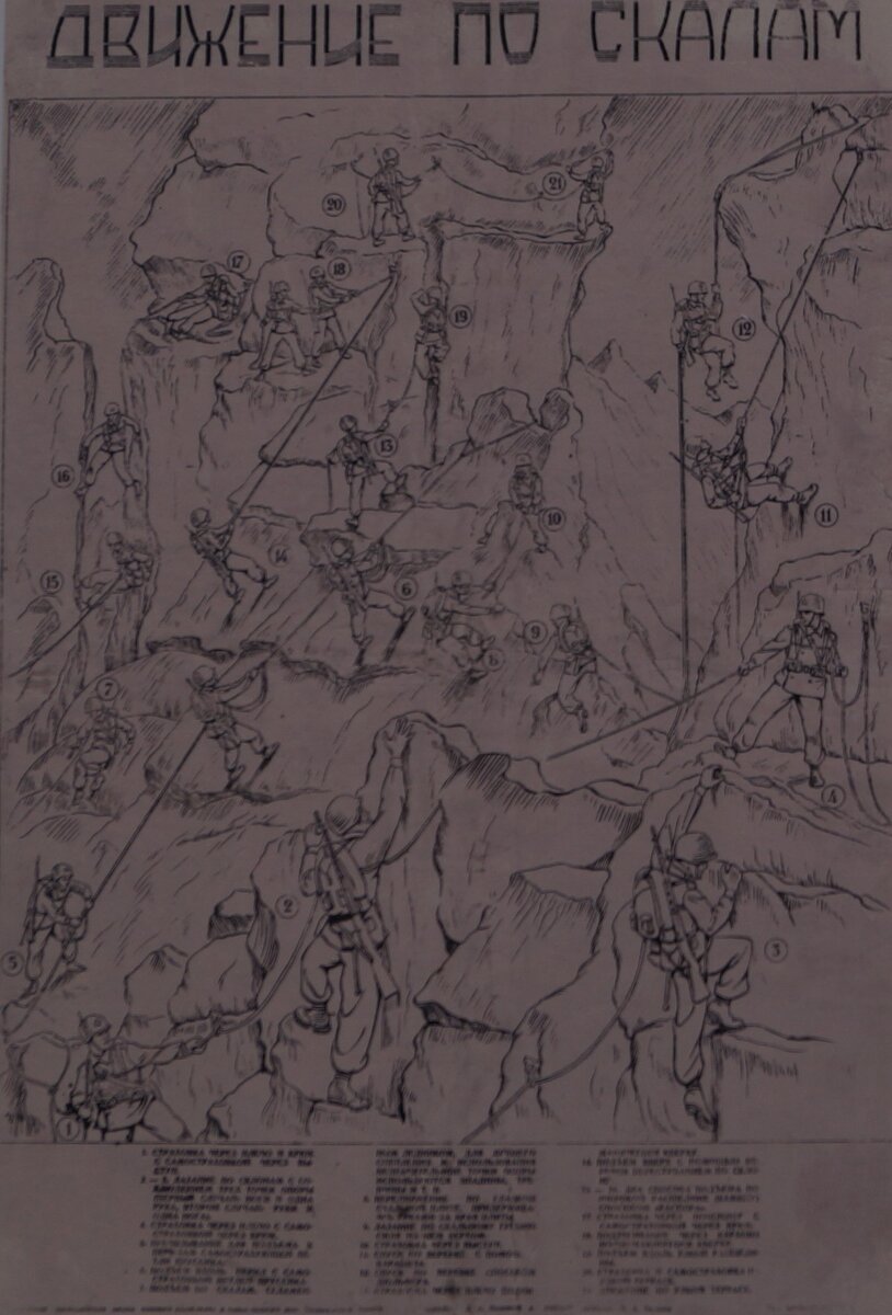 Иллюстрация Государственного музея спорта