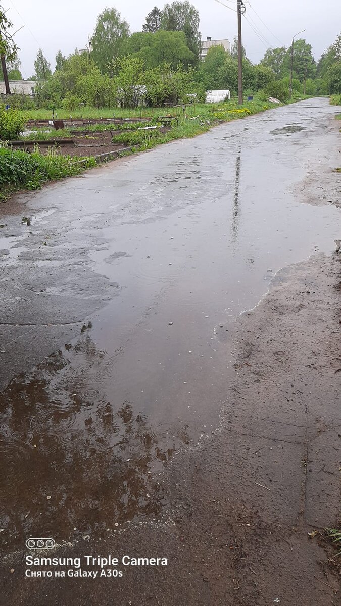 Фото автора .