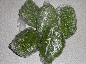 Для того чтобы произвести заморозку в кубиках льда, укроп сначала мелко нарезают. Затем раскладывают его в формочки для льда, заливают водой и оставляют в морозилке до замерзания. После этого получившиеся кубики достают из емкостей, кладут в полиэтиленовые пакетики и снова отправляют в морозилку.