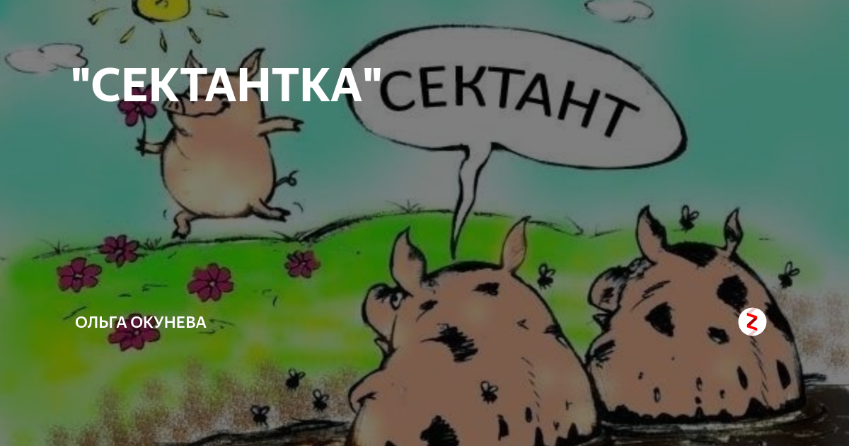 Картинка свиньи сектант