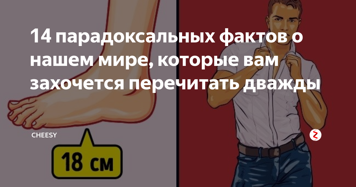 парадоксальные факты. парадоксальные факты. парадоксальные факты. парадоксальный дилдак. парадоксальные факты.