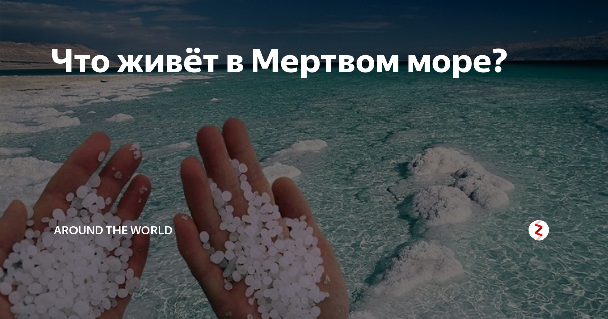 Мёртвое море 2020г