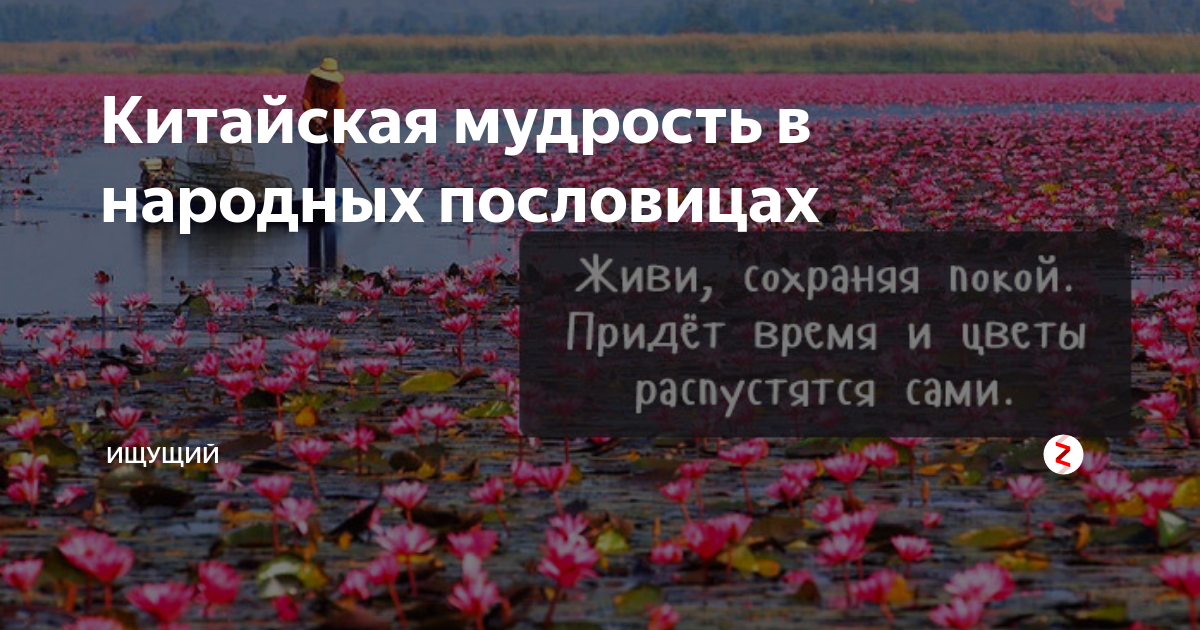 Живи сохраняя покой придет весна и цветы распустятся сами картинки