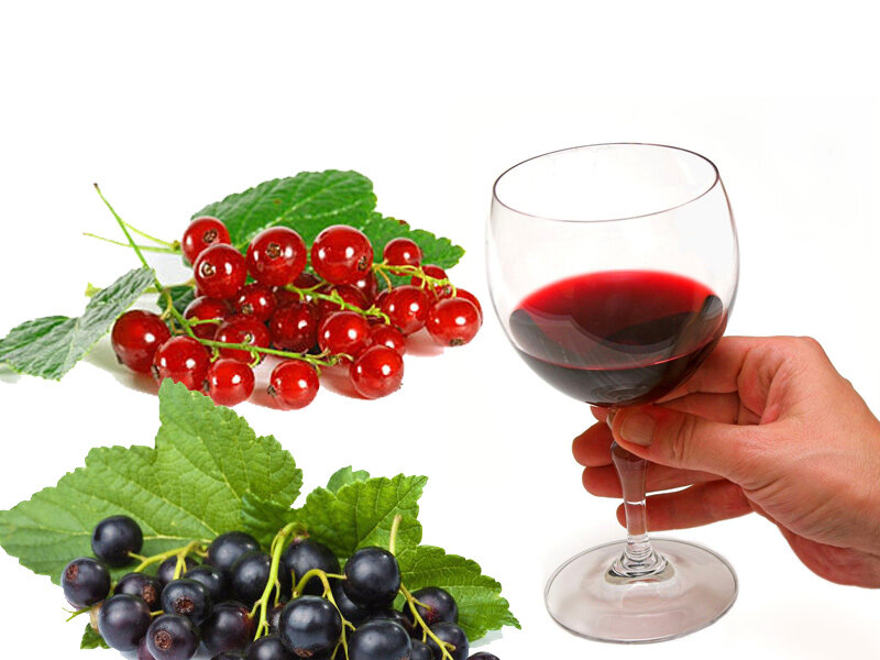 Домашнее вино из красной смородины - пошаговый рецепт с фото на gkhyarovoe.ru