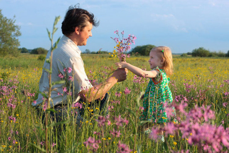 Папа мама дочка песня. Дети на лугу. Дети собирают цветы. Прогулка по цветущему лугу. Мама с ребенком в поле.