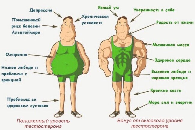 Ожирение у мужчин и женщин: причины и лечение