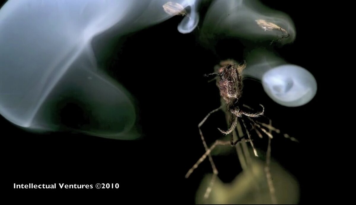 Полетевший комаров. Комарик с фонариком фото смешное. Fumigator Anti Mosquito.
