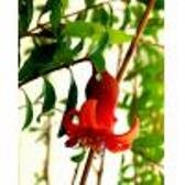 фото из личного архива