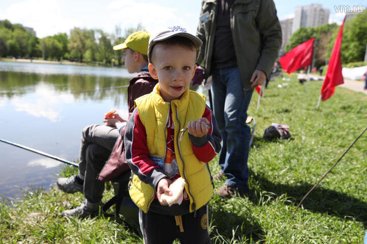 Александра Учаева, "Вечерняя Москва". Обычно сны отображают впечатления от информации, полученной днем  