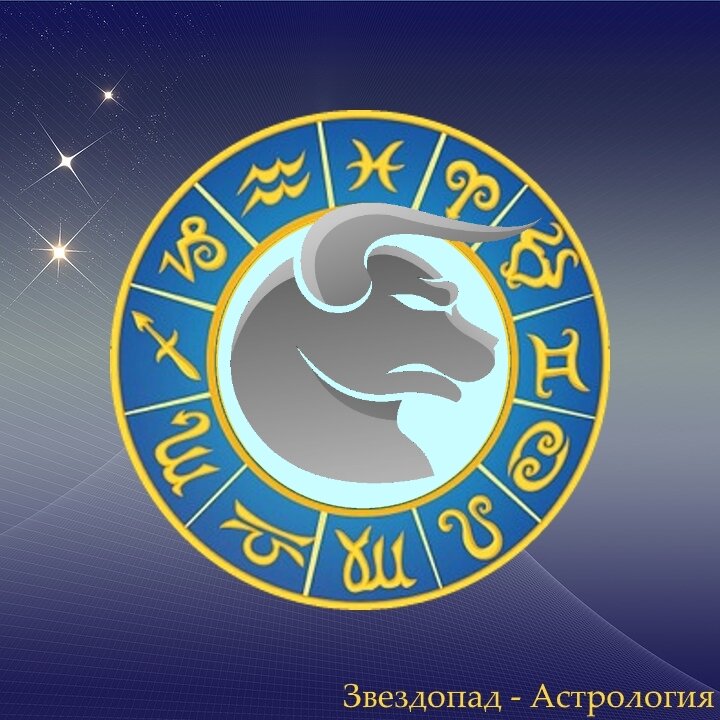 Телец