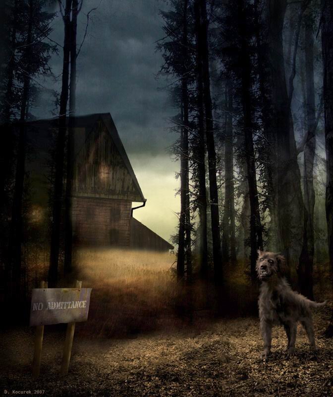 Изображение из открытых источников