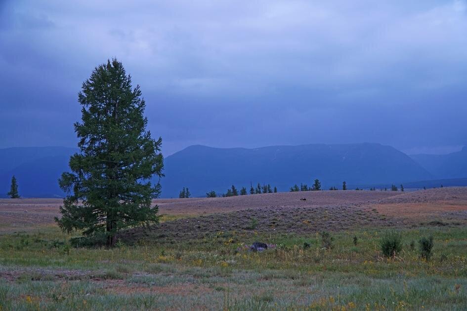 Россия, Алтай