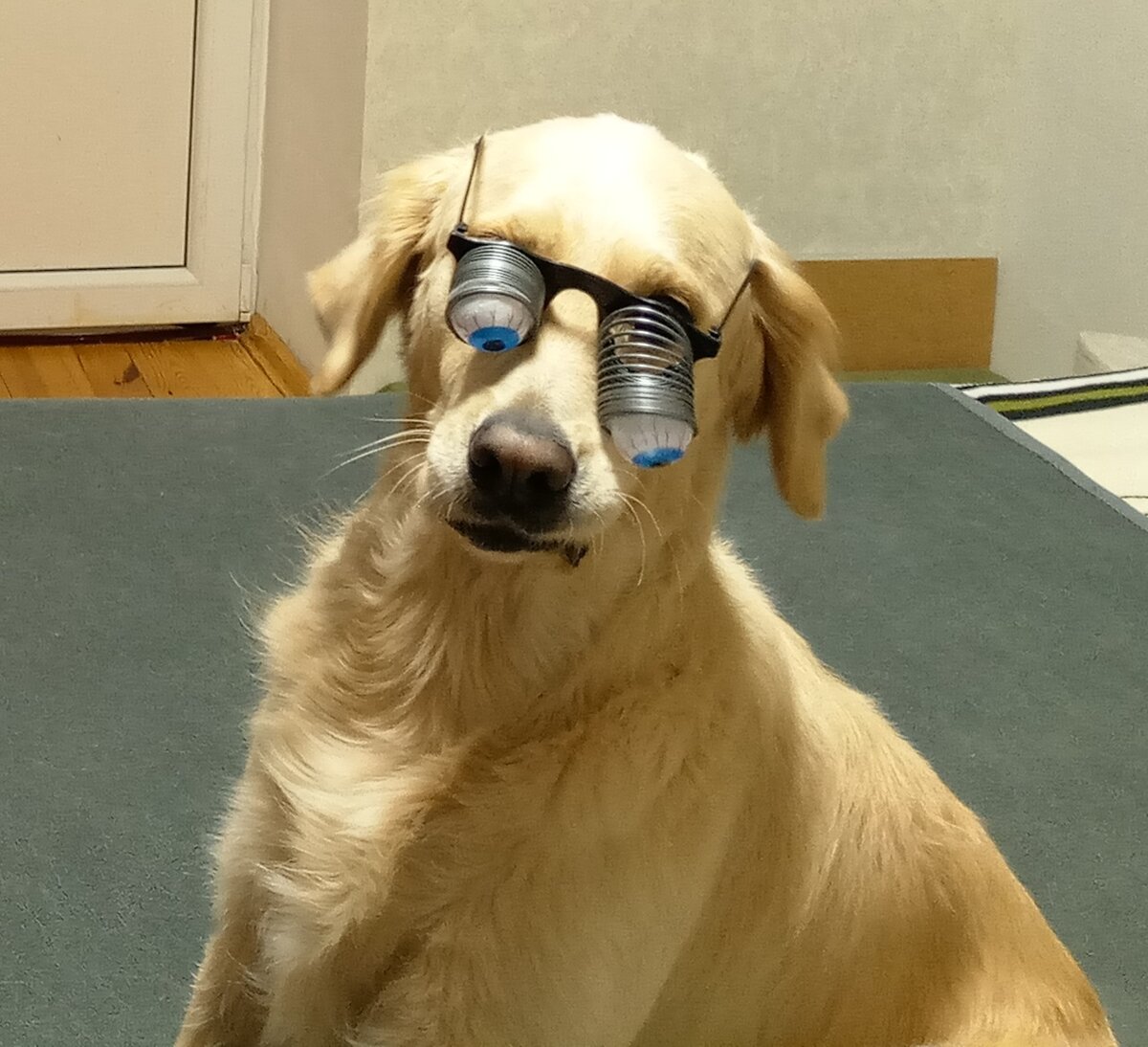 Они ещё и вываливаются )))