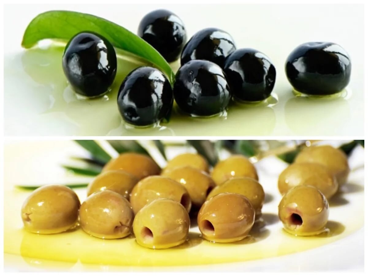 Оливки это недозрелые маслины