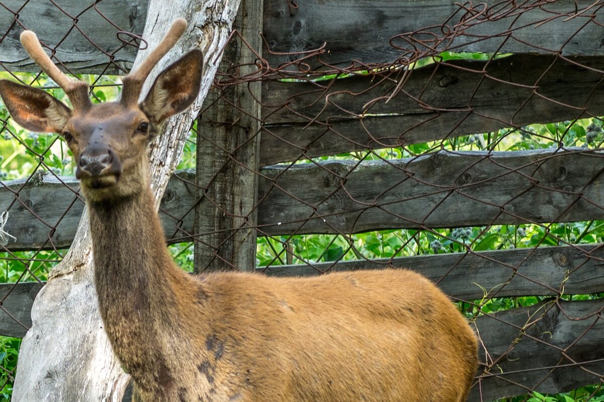 Фото: kovaler.livejournal.com