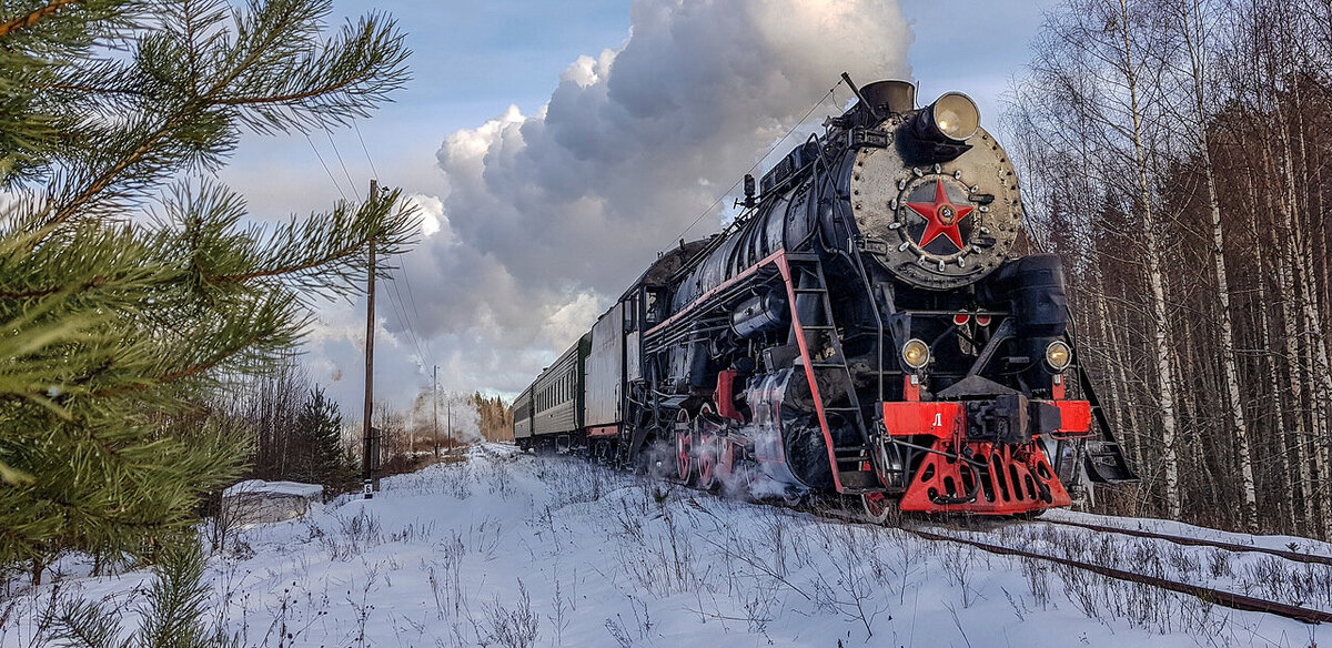 Фото: Алексея Алексеева