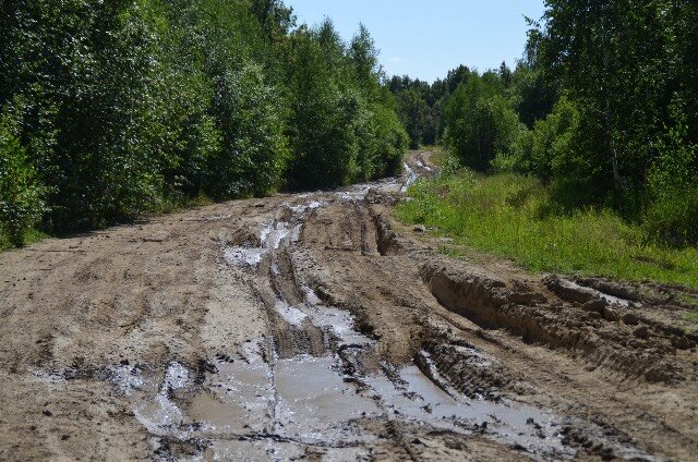 фото с тырнета