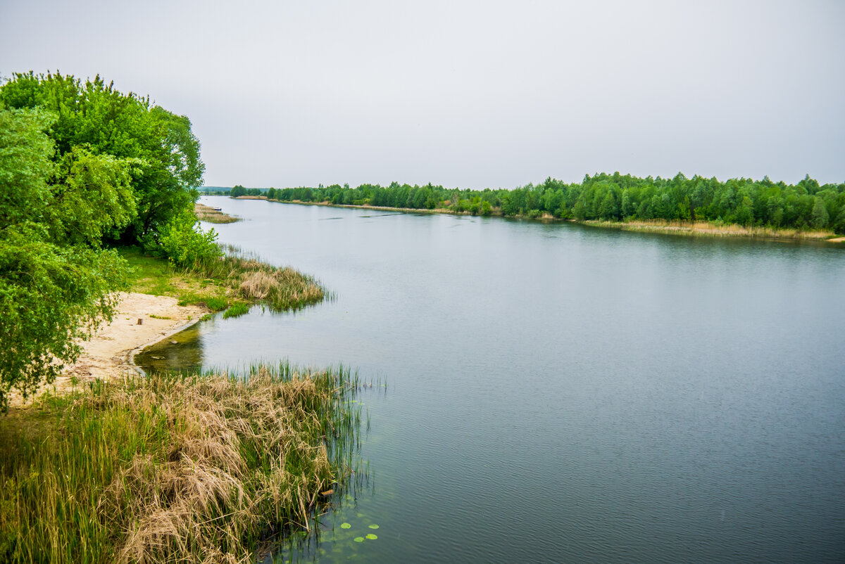 Река воронеж фото