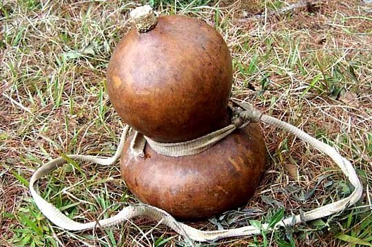 Мексиканская фляга из тыквы