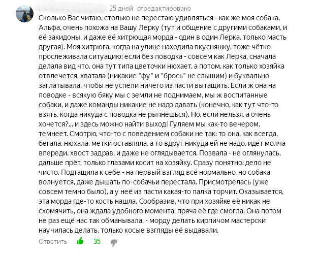 Ваши комментарии-отклики