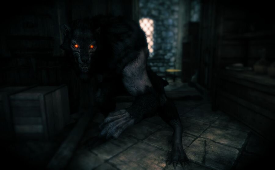 История подписчика