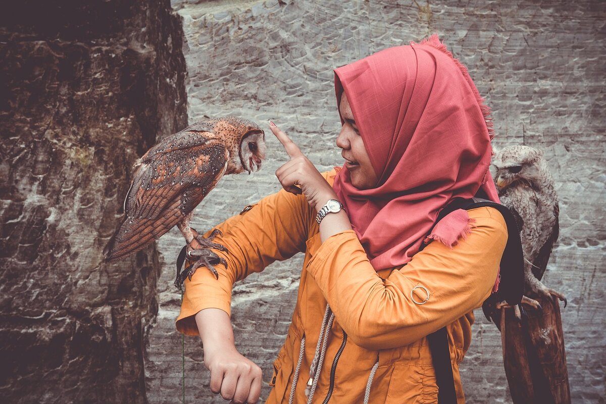 https://pixabay.com/ru/photos/%D0%B6%D0%B8%D0%B2%D0%BE%D1%82%D0%BD%D1%8B%D0%B5-%D1%81%D0%BE%D0%B2%D1%8B-%D0%BF%D1%82%D0%B8%D1%87%D0%B8%D0%B9-%D0%BF%D1%82%D0%B8%D1%86%D1%8B-%D0%B4%D0%B5%D0%B2%D0%BE%D1%87%D0%BA%D0%B0-1868484/