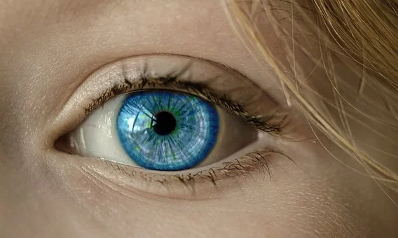  https://pixabay.com/photos/eye-blue-eye-iris-pupil-face-1173863/