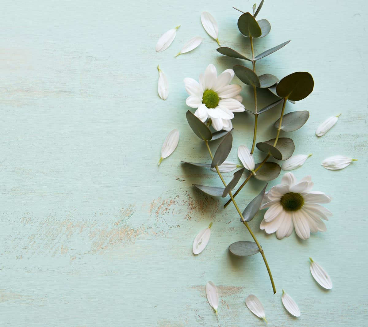 Эгостичное моё я