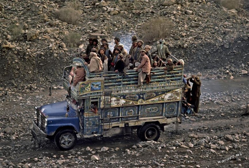 Барбухайка афганистан фото