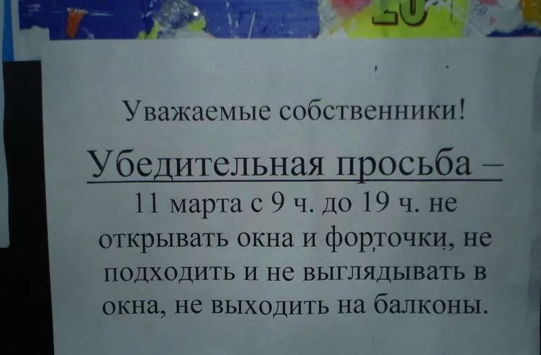 фото из открытых источников Яндекс.Картинки