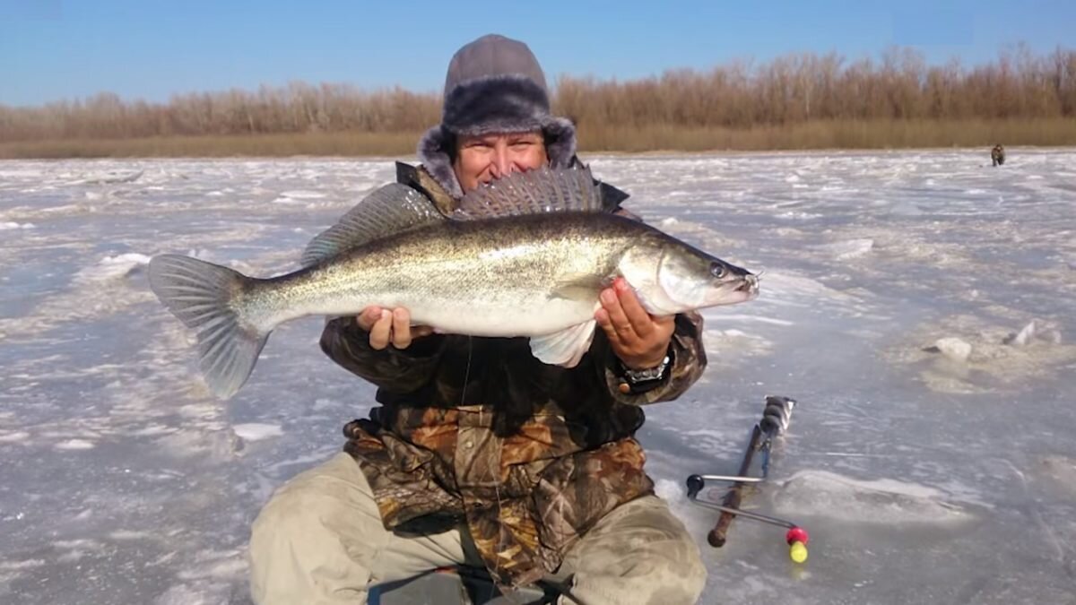 Рыбалка в Астрахани. Фото из открытых источников