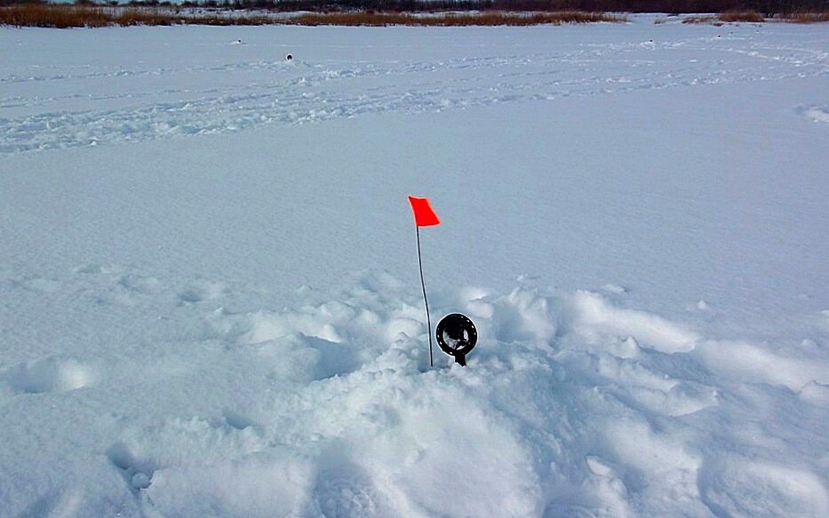 ловля на зимние жерлицы. рыбалка на жерлицы зима 2023 год. жерлицы для зимней рыбалки на щуку. жерлица на щуку. рыбалка на жерлицы зима 2023 год.