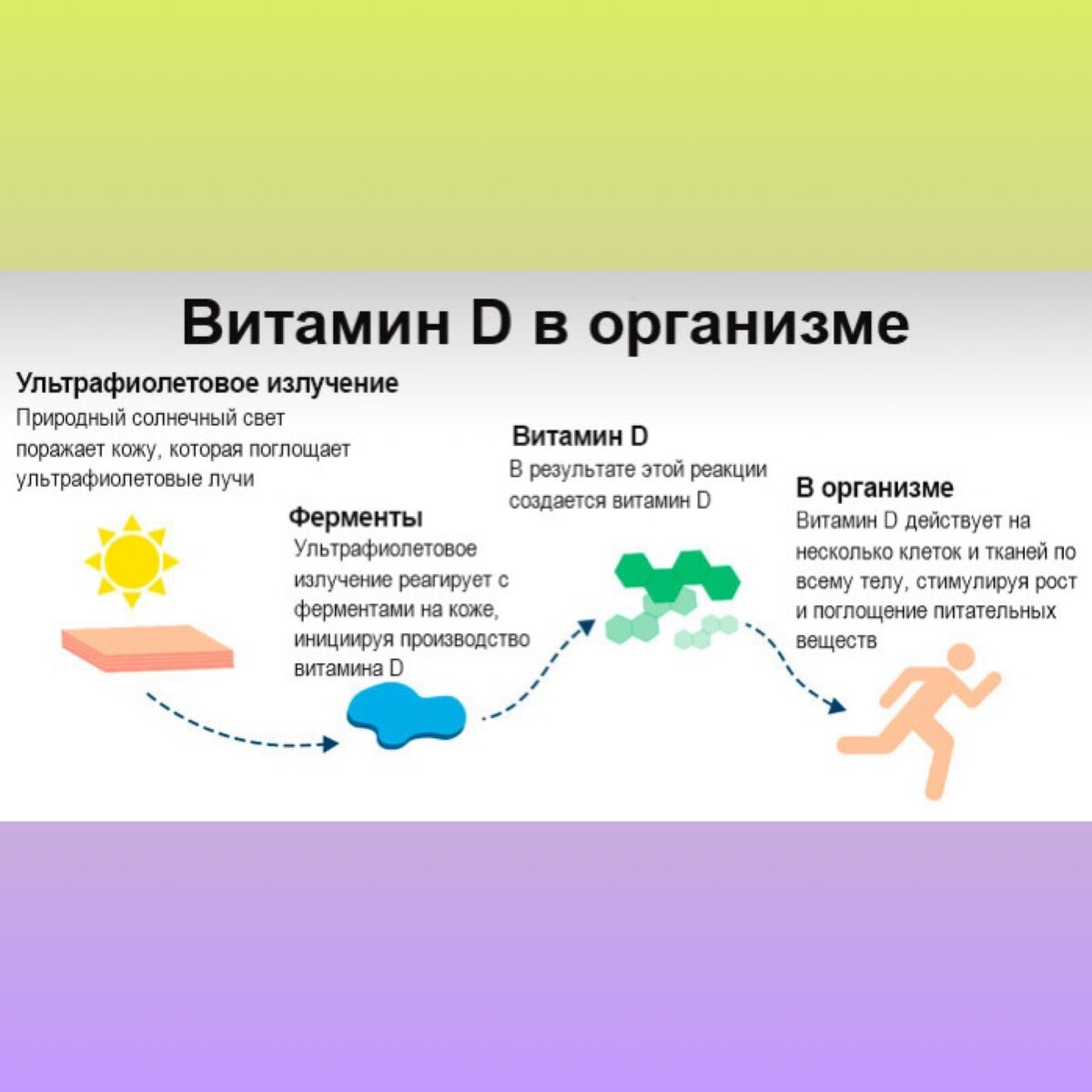 Какой витамин вырабатывается на солнце