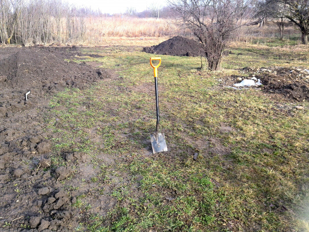 Фото из Нашего питомника!