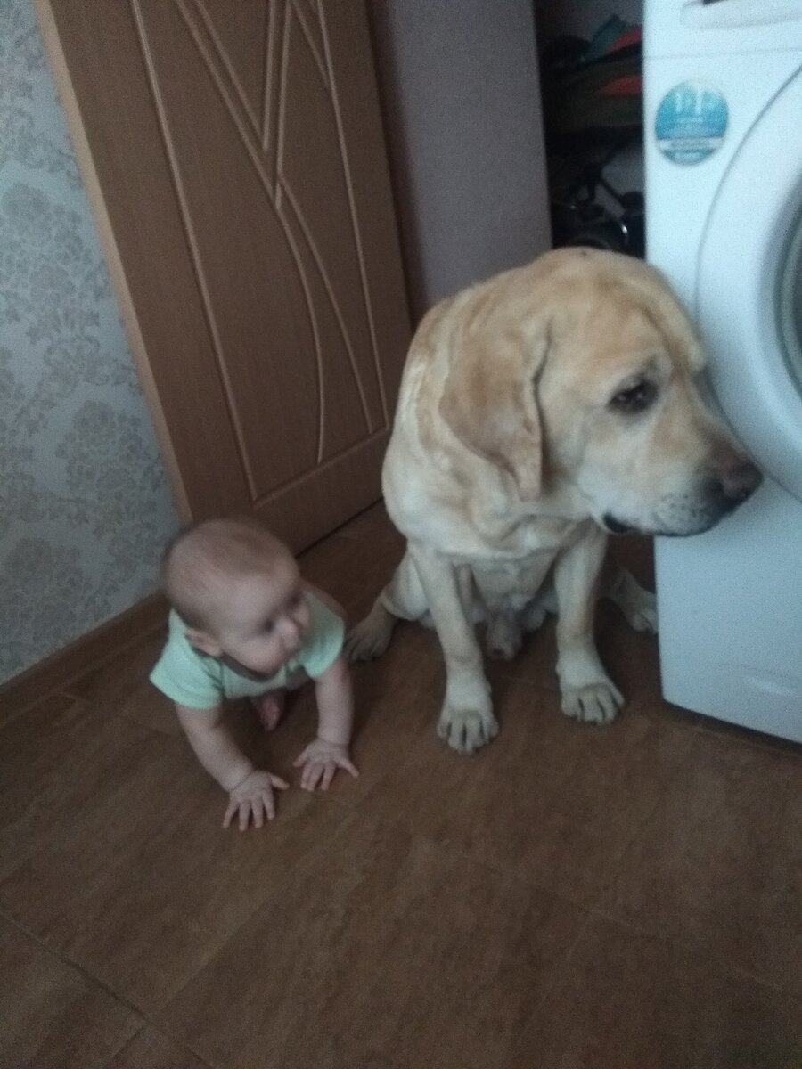 Банда приготовила план по захвату кухни