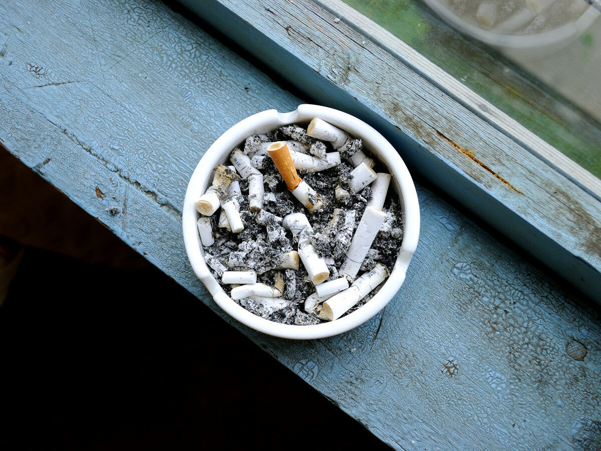 Изображения взято c сайта Google 