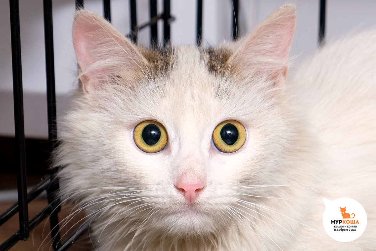 Еся, 7 месяцев