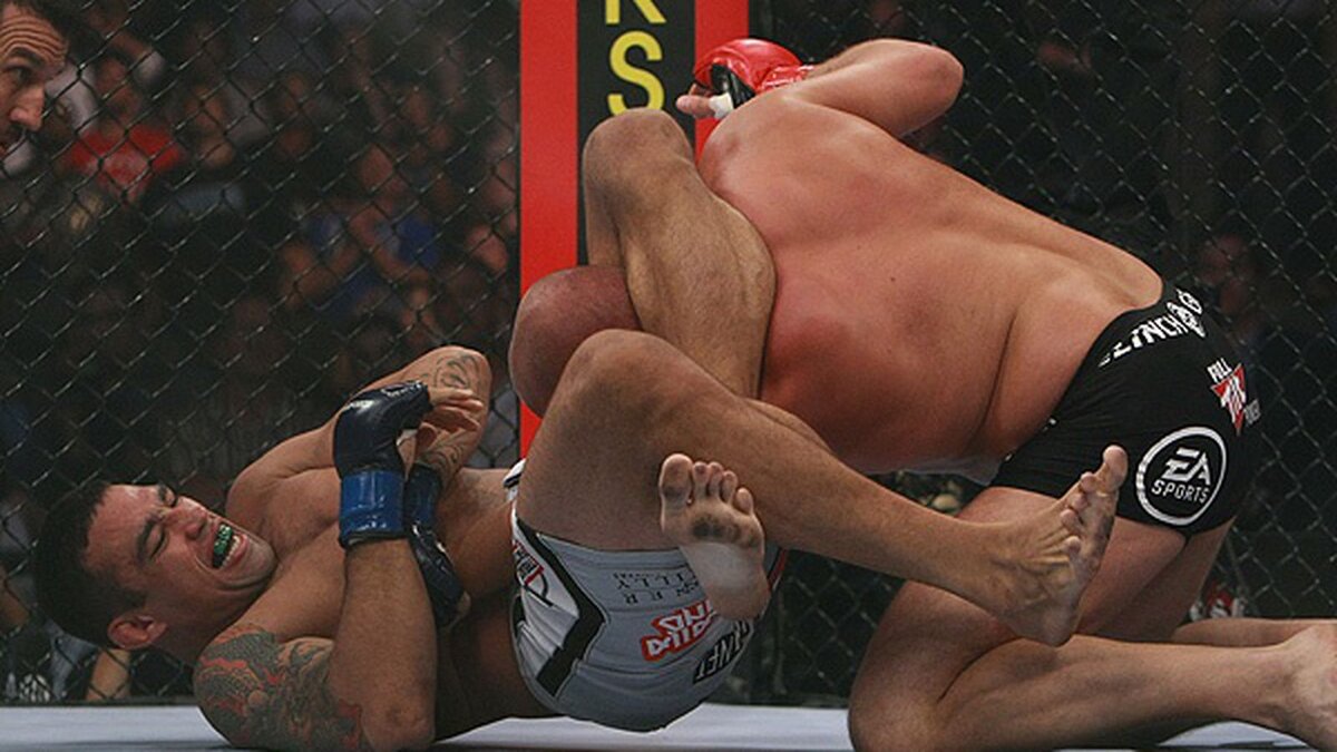 fabricio werdum vs fedor emelianenko