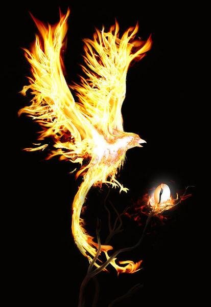 По-китайски "нирвана" будет "непань". Основной источник изображений на этом канале - байдукартинки почему-то показывает по запросу такого феникса