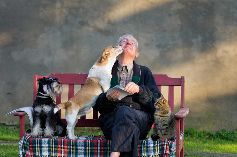 Есть много доказательств того, что домашние питомцы позитивно влияют на состояние людей, страдающих раком.
