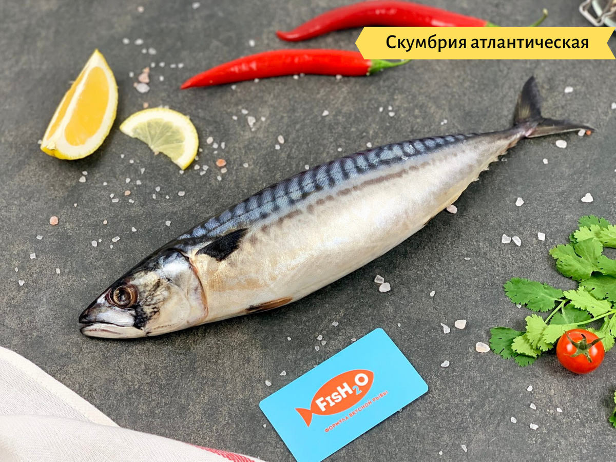 5 причин заказать рыбу и морепродукты на дом, а не покупать в магазине |  fish2o | производитель премиум лосося | Дзен