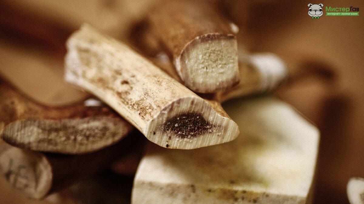 Фото интернет-зоомагазина Мистер Гав. Рога северного оленя